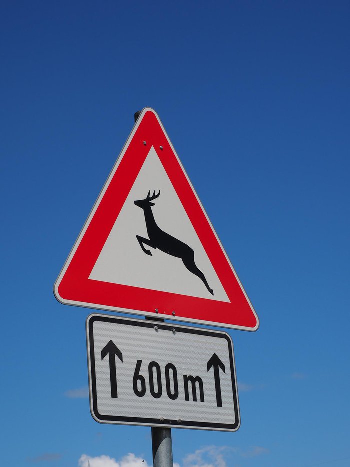 sign-g8031eb131_1920.jpg